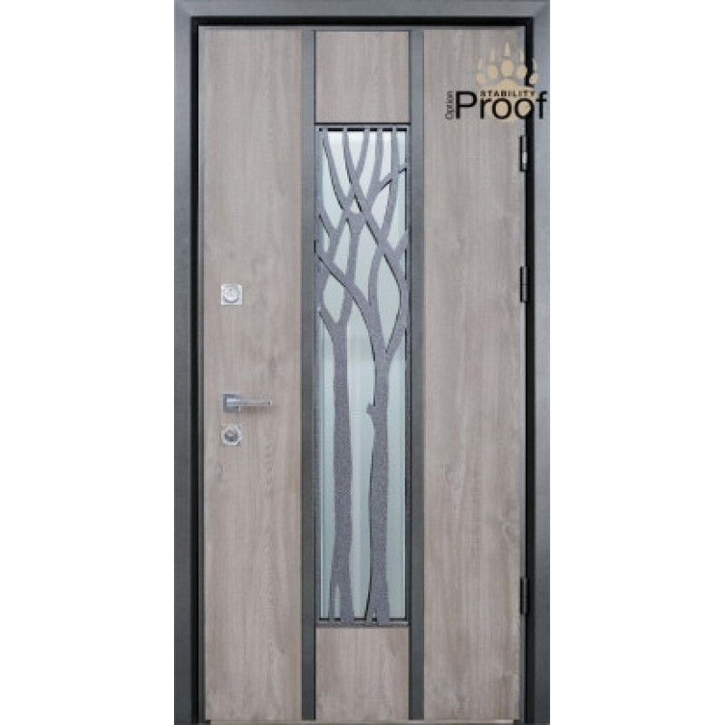 Двері вуличні, STRAJ Proof, модель Roble, комплектація Proof Standard Securemme