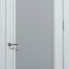 Двері Status Platinum Oak Standard OS-012.S01 Полотно