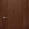 Двері Status Platinum Trend Premium TP-011 Полотно