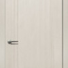 Двері Status Platinum Trend Premium TP-011 Полотно