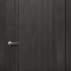 Двері Status Platinum Trend Premium TP-011 Полотно