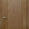 Двері Status Platinum Trend Premium TP-011 Полотно
