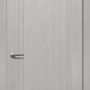 Двері Status Platinum Trend Premium TP-011 Полотно