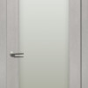 Дверцята Status Platinum Trend Premium TP-012.S01 Полотно+коробка + 2 к-кта нарізників + добір 100 мм