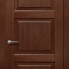 Дверцята Status Platinum Trend Premium TP-021 Полотно+коробка + 1 к-кт готівників