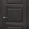 Дверцята Status Platinum Trend Premium TP-021 Полотно+коробка + 1 к-кт готівників