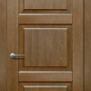 Дверцята Status Platinum Trend Premium TP-021 Полотно+коробка + 1 к-кт готівників