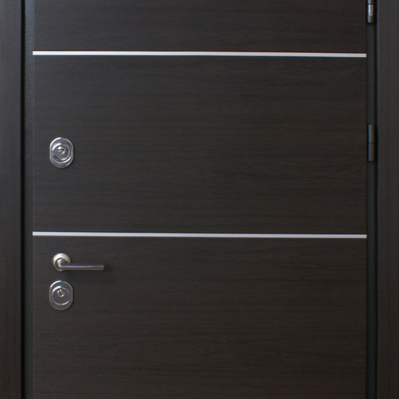 Двері вуличні, STRAJ Proof, модель PARTY D, комплектація Proof Standard Mottura 870