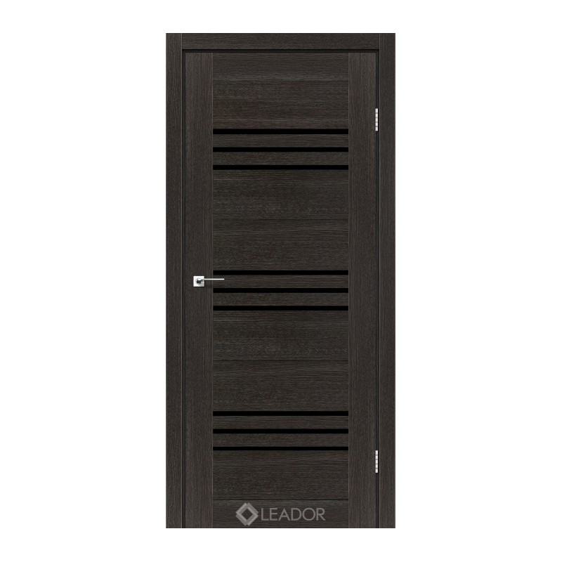 Двері SOVANA Полотно, екошпон Дуб сакссонський BLK