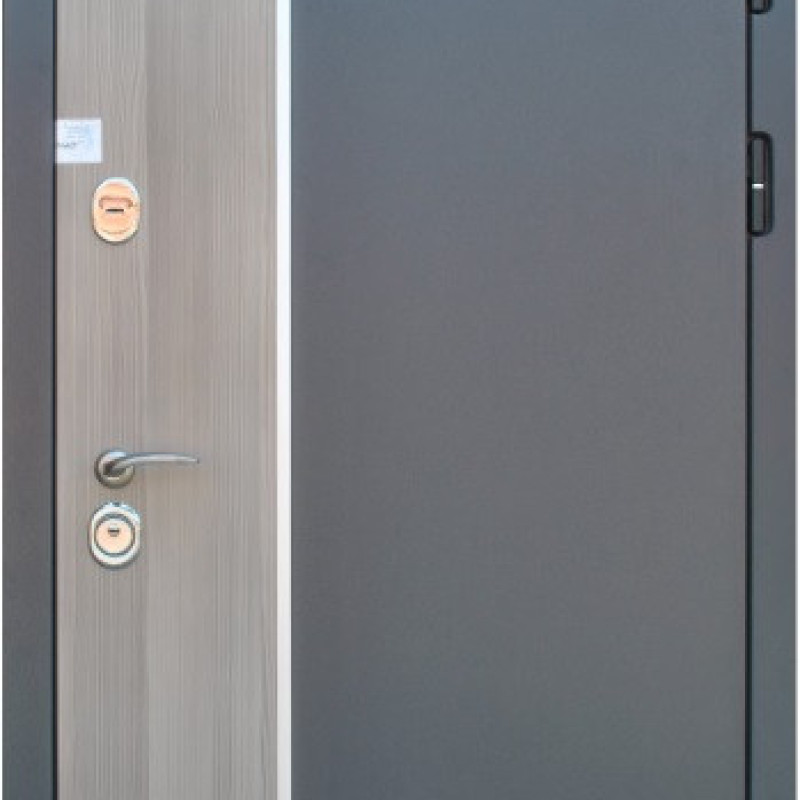 Двері вуличні, модель Thermo Steel Standart 21-17, 2 замки, одинарні, глухі 870R