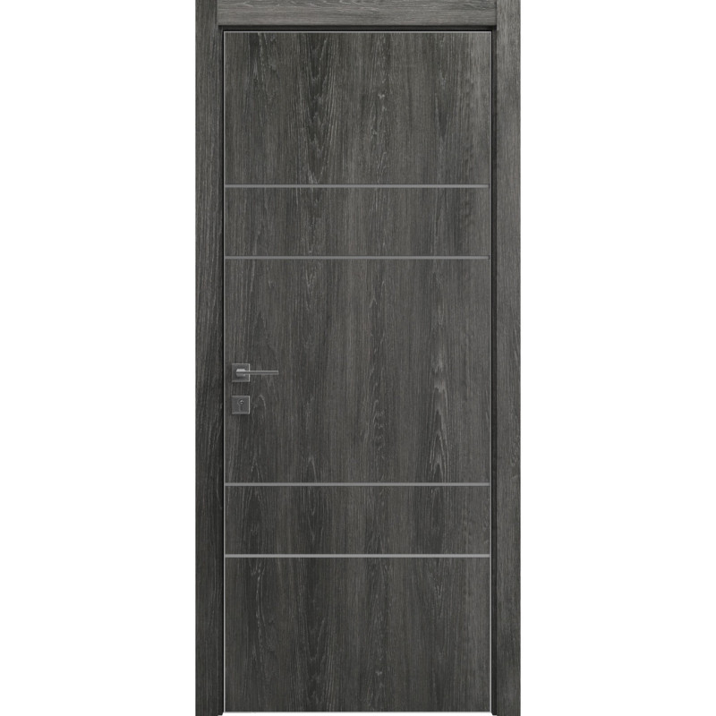 Двері колекції Modern модель Flat 04 Alum, Дуб шале графіт