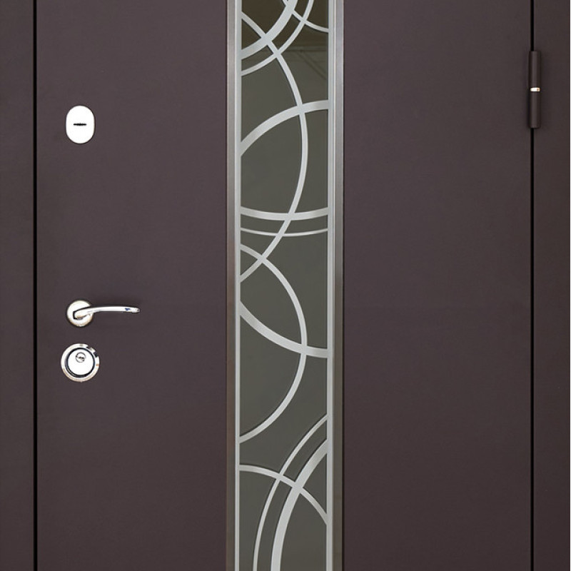 Двері вуличні, модель 408 Solid Glass RAL 8019Т зі склопакетом
